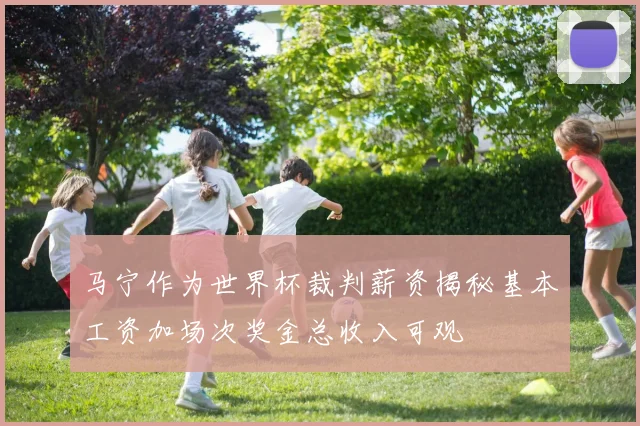 马宁作为世界杯裁判薪资揭秘基本工资加场次奖金总收入可观