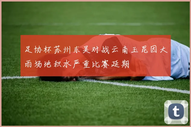 足协杯苏州东吴对战云南玉昆因大雨场地积水严重比赛延期